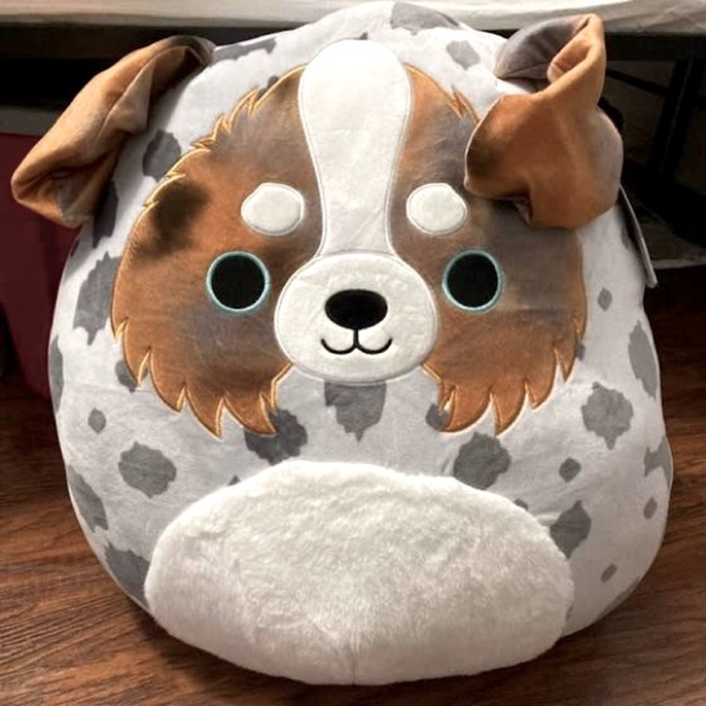 COPY - 8” Raylor the Australian Shephard squishmallows